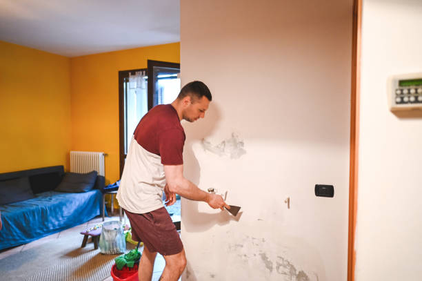 Best Mold Testing and Inspection Services in Chittenango, NY